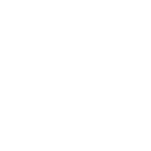 Logo BERUFSVERBAND DES DEUTSCHEN MÜNZENFACHHANDELS E.V.